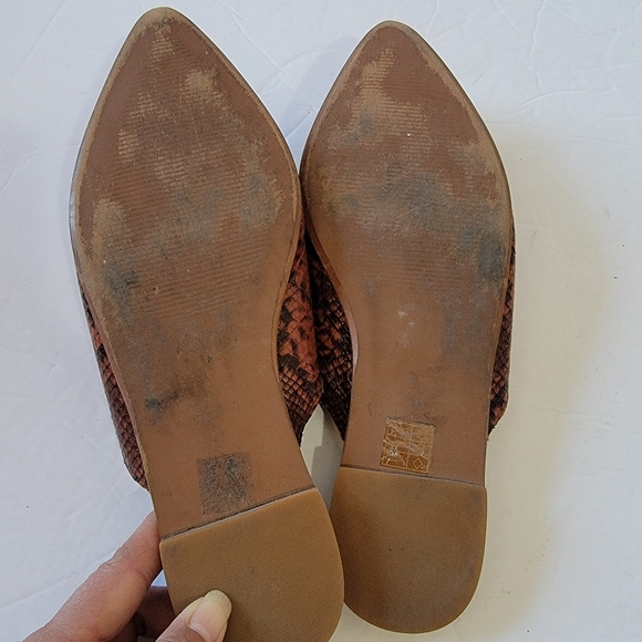 Madewell The Emilia Mule in Snake Embossed Leather Women's Sz 8 Pointy Toed - Picture 9 of 11